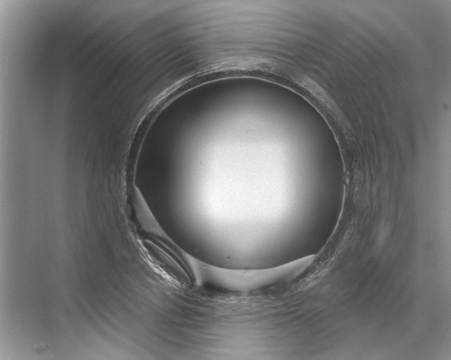 X0000070200834200606091556