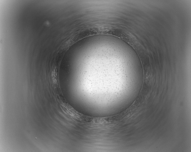 X0000070200866200606091556