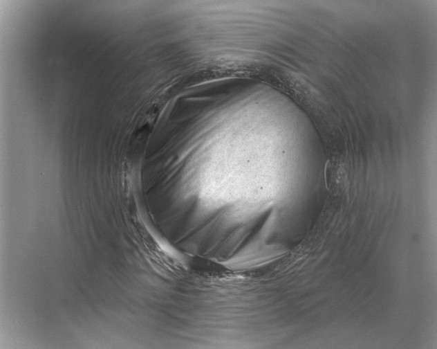 X0000070200868200606091556
