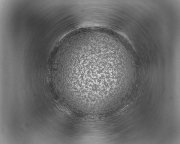 X0000070200871200606091556