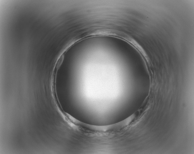 X0000070200909200606091555