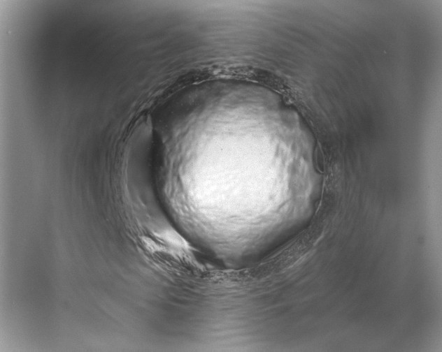 X0000070200913200606091554