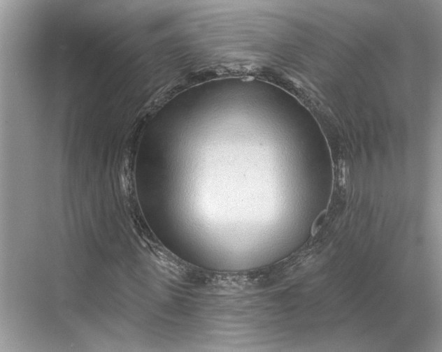 X0000070200915200606091554