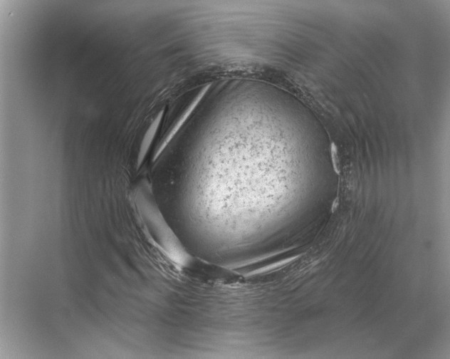 X0000070200916200606091554