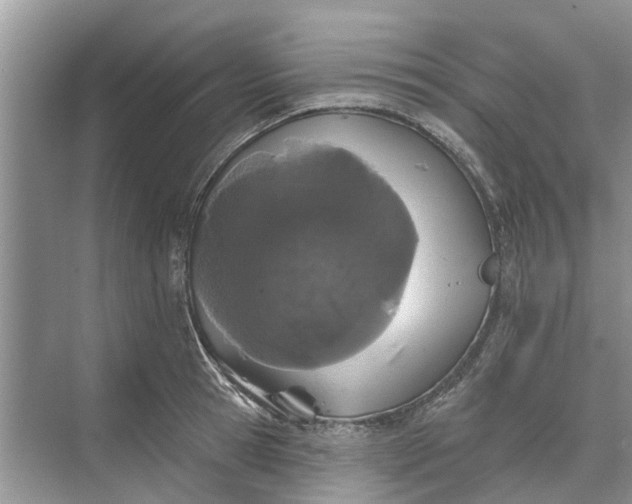 X0000070200945200606091555
