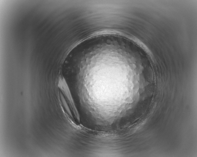 X0000070200953200606091555