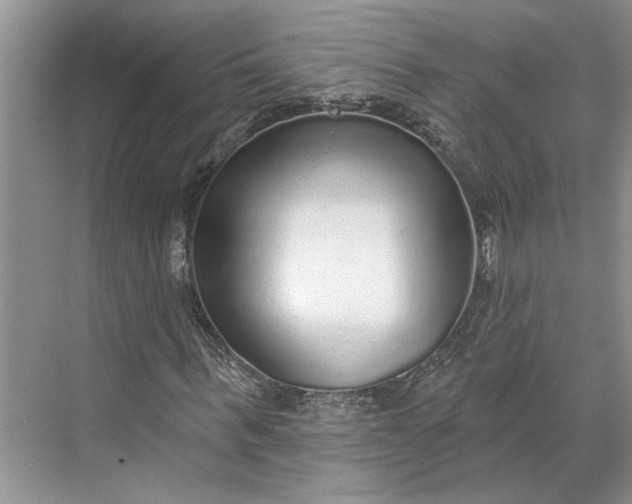 X0000070200963200606091554