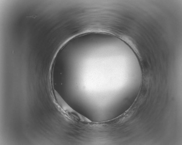 X0000070201004200606091553