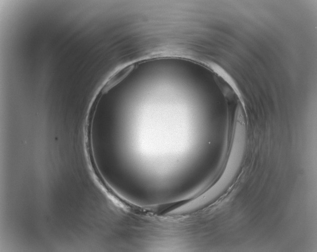 X0000070201005200606091553