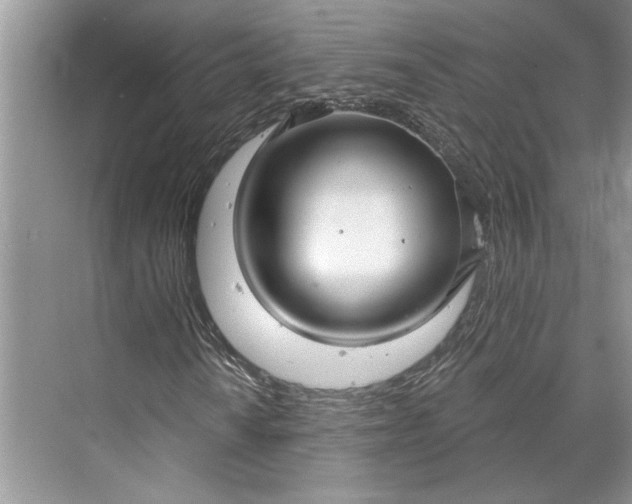 X0000070201010200606091553