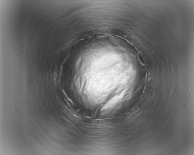 X0000070201011200606091553