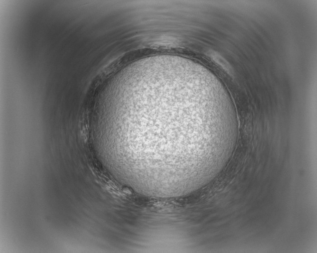 X0000070201015200606091553