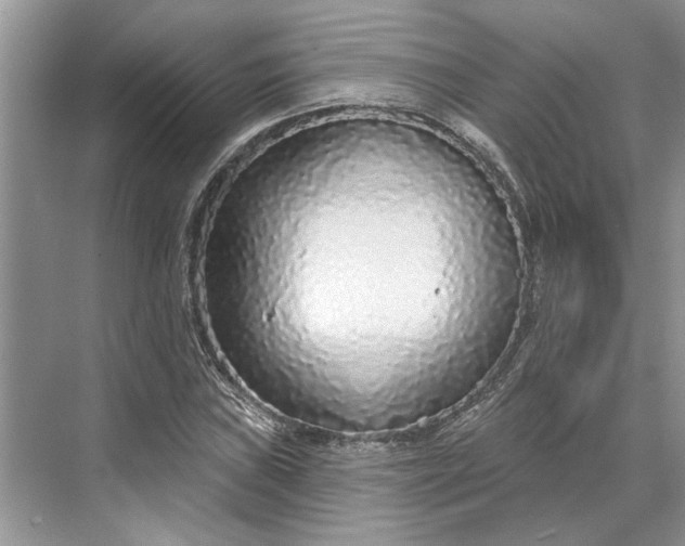 X0000070201019200606091553