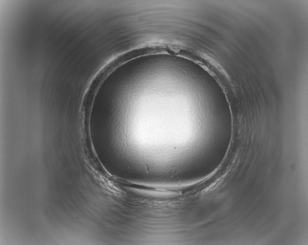 X0000070201021200606091553
