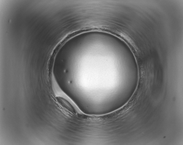 X0000070201023200606091553