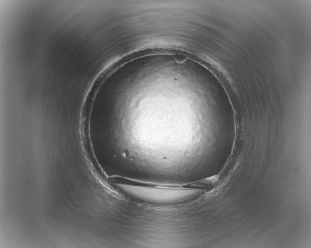 X0000070201029200606091553