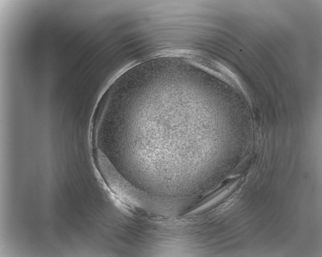 X0000070201050200606091553