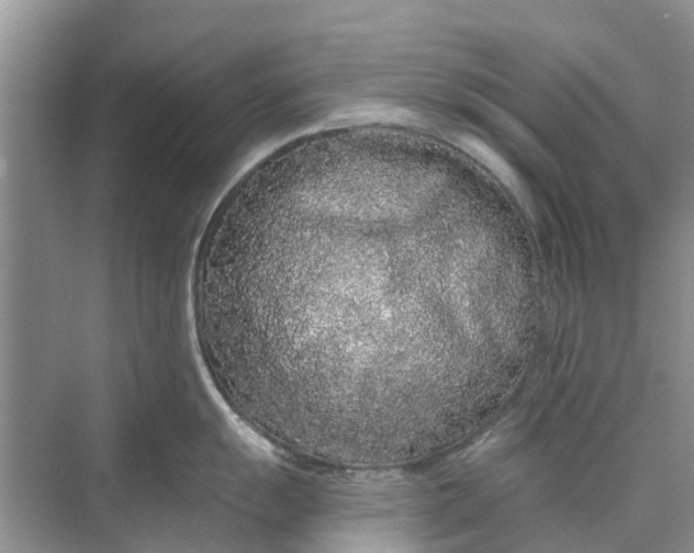 X0000070201055200606091553