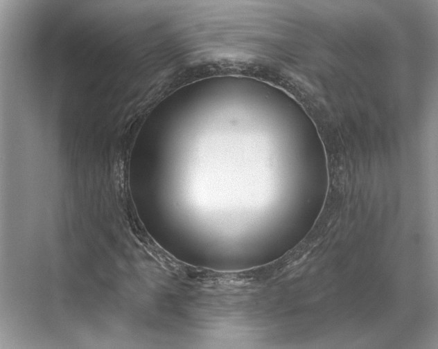 X0000070201061200606091552