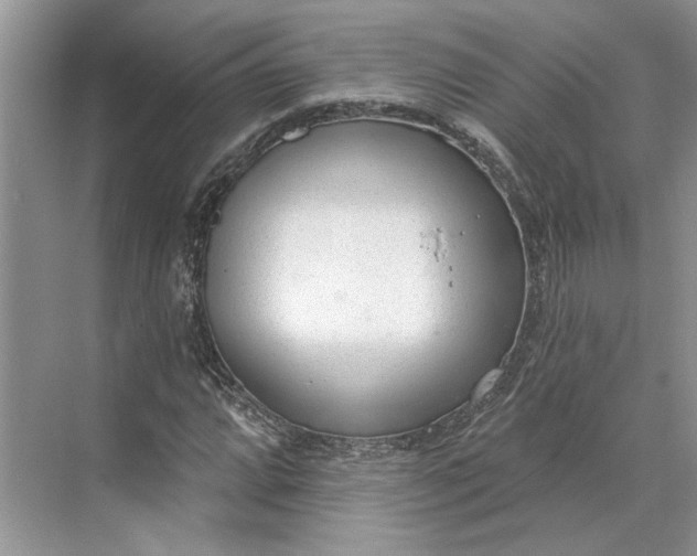X0000070201064200606091552