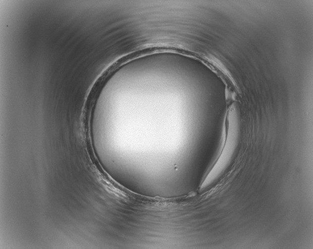 X0000070201068200606091552