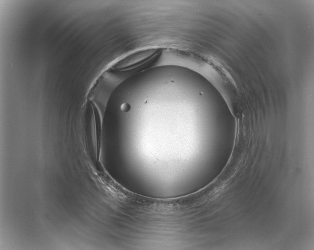 X0000070201069200606091552