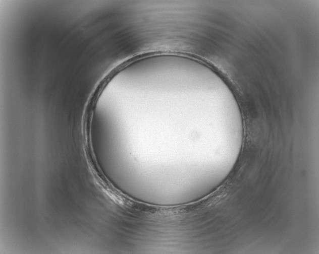 X0000070201078200606091552