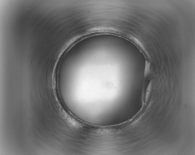 X0000070201082200606091552