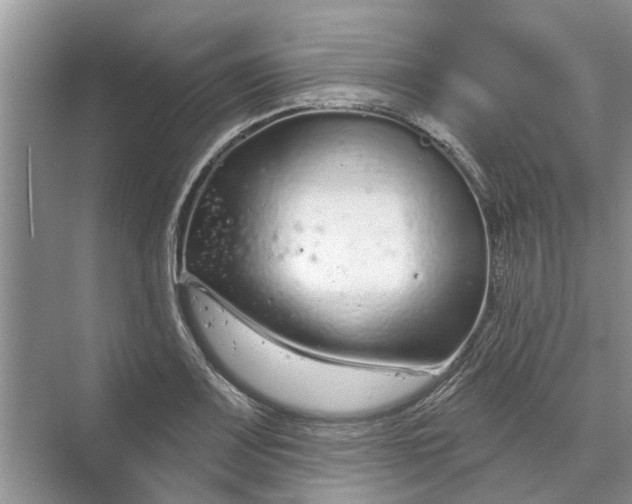 X0000070201083200606091552