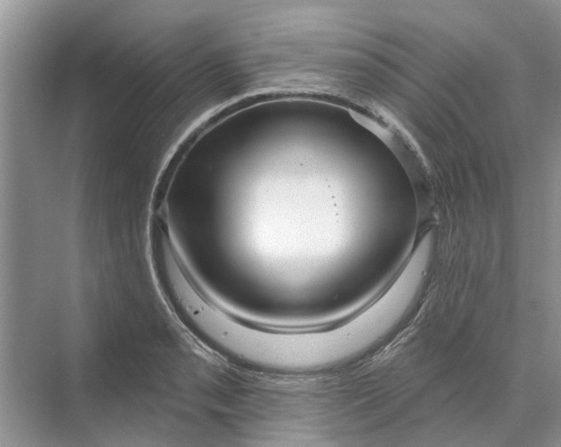 X0000070201085200606091552
