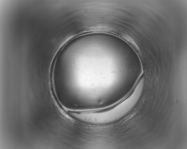 X0000070201087200606091552