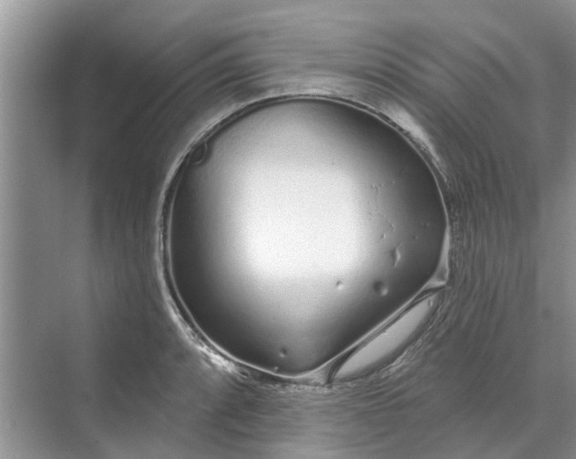 X0000070201088200606091552