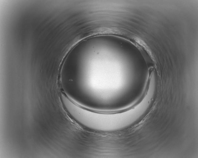 X0000070201089200606091552