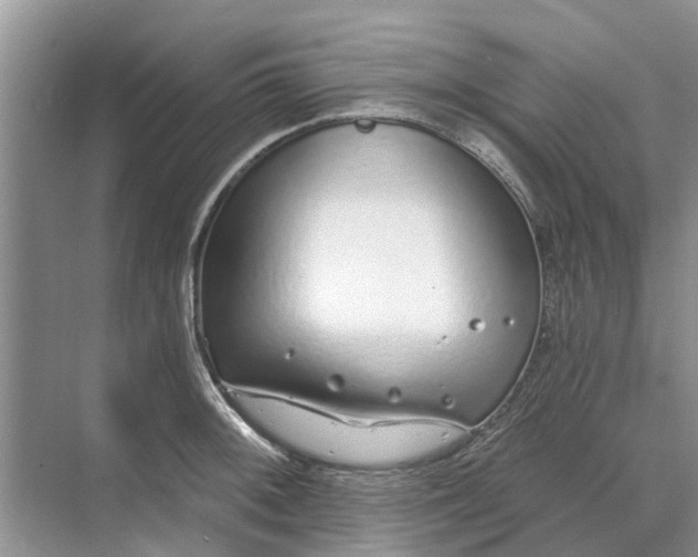 X0000070201092200606091552