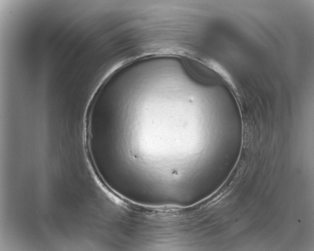 X0000070201095200606091552