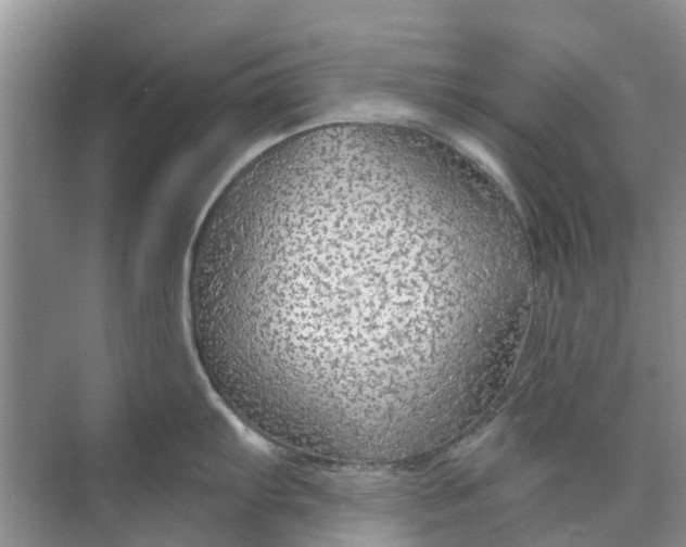X0000070201103200606091552