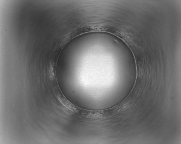 X0000070201106200606091551