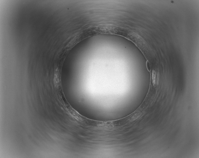 X0000070201107200606091551