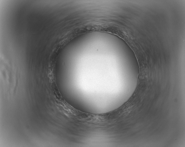 X0000070201109200606091551