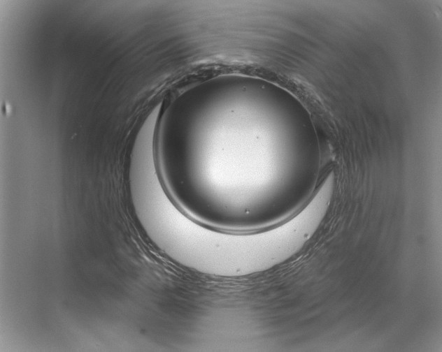 X0000070201110200606091551