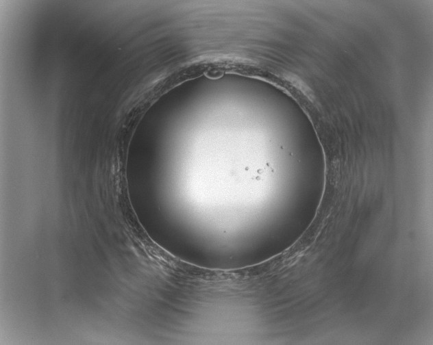 X0000070201111200606091551