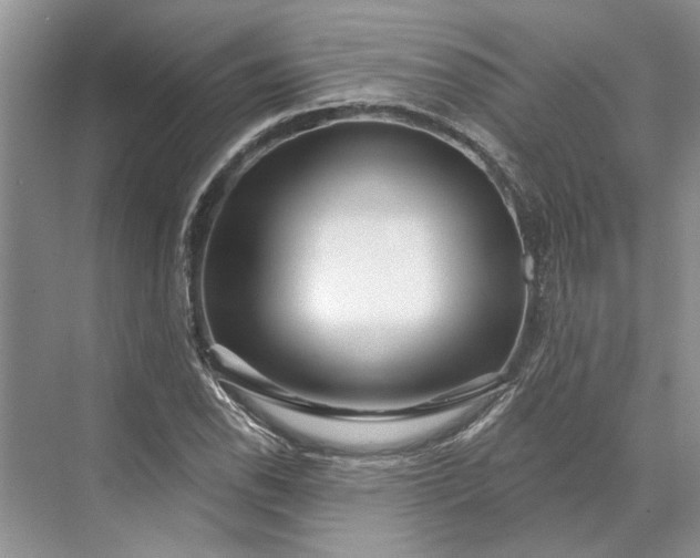 X0000070201118200606091551