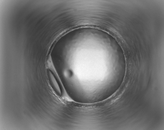 X0000070201121200606091551
