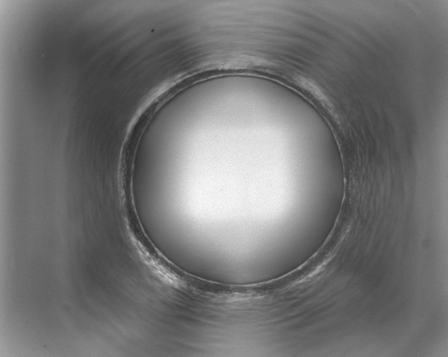 X0000070201122200606091551
