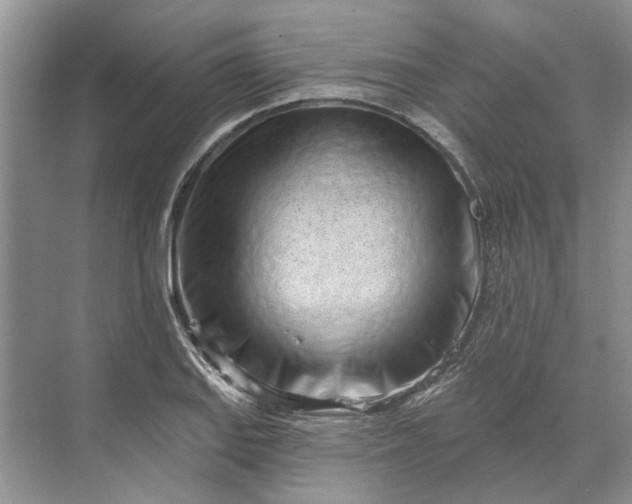 X0000070201127200606091551