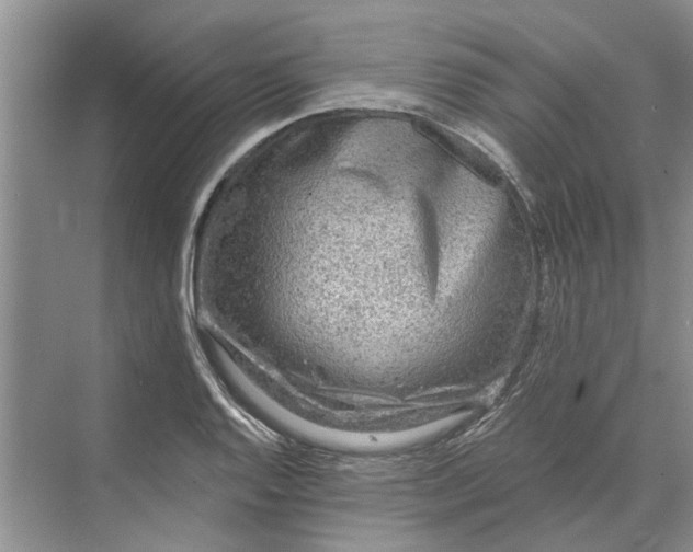 X0000070201128200606091551