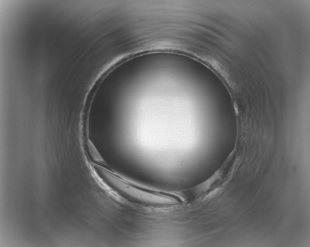 X0000070201134200606091551