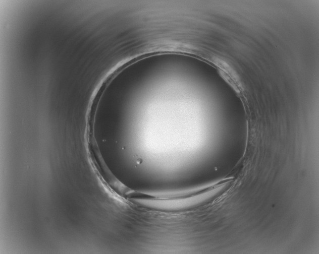 X0000070201136200606091551