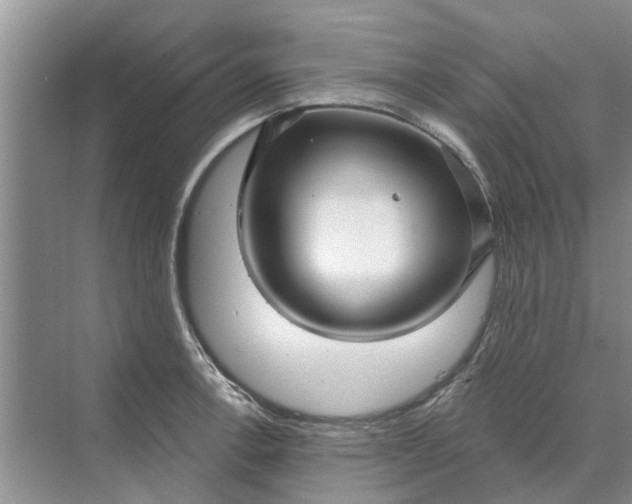 X0000070201138200606091551