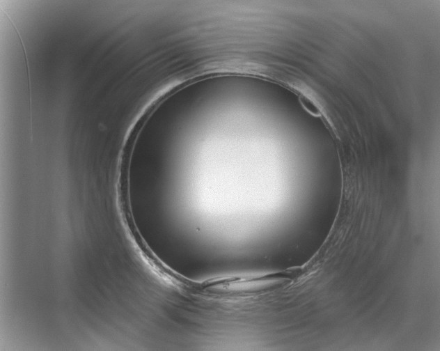 X0000070201139200606091552